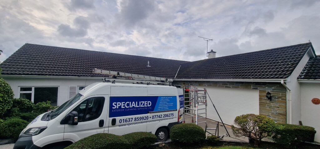 Before roof cleaned.