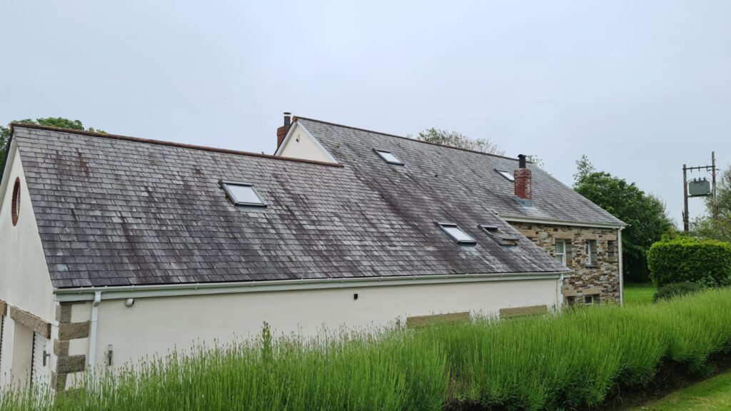 Before roof clean