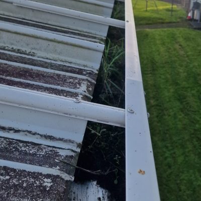 Vegetation growing in gutters causing blockage.